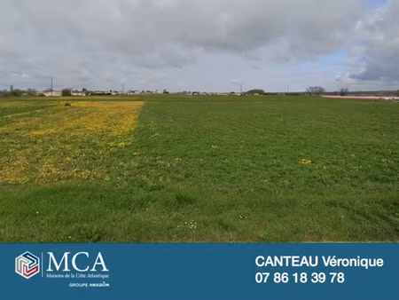 vente terrain 378 m² à nieulle-sur-seudre (17600)  53 000 €