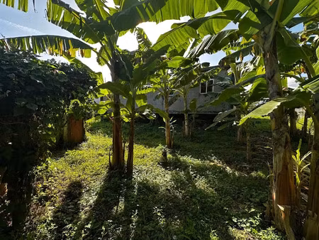 vente maison 6 pièces 135 m² à capesterre belle eau (97130)  175 000 €