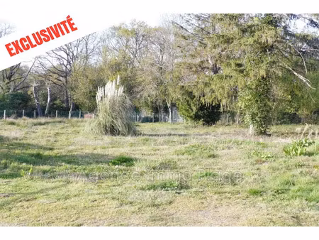 vente terrain 2930 m² à saint-vivien-de-médoc (33590)  71 000 €
