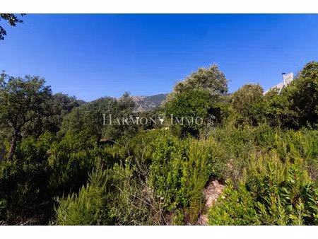 vente terrain 961 m² à tavaco (20167)  157 000 €