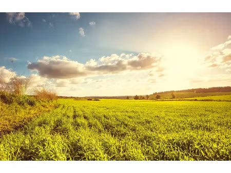 vente terrain 600 m² à sorigny (37250)  100 000 €