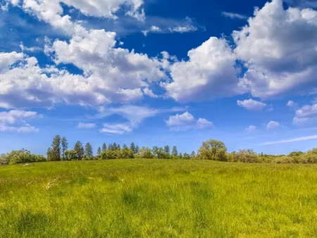 vente terrain 1000 m² à artannes-sur-indre (37260)  140 000 €