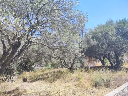vente terrain 702 m² à pignans (83790)  158 000 €