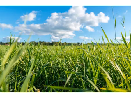 vente terrain 830 m² à biscarrosse (40600)  168 000 €
