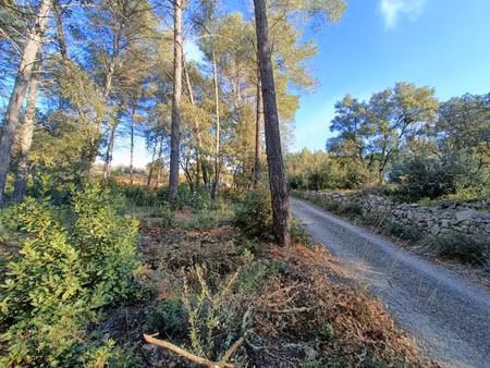 vente terrain 912 m² à trans-en-provence (83720)  165 000 €