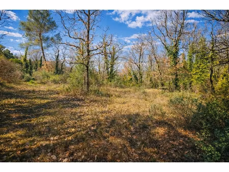 vente terrain 4350 m² à saint-cézaire-sur-siagne (06530)  370 000 €