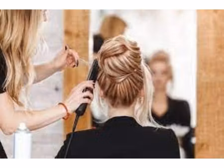 vente locaux professionnels 45 m² à bois-de-céné (85710)  59 000 €