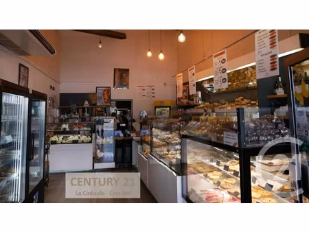 vente locaux professionnels à castries (34160)  390 000 €