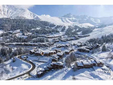 vente locaux professionnels 200 m² à les avanchers-valmorel (73260)  445 000 €