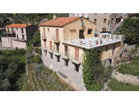 vente immeuble 12 pièces 400 m² à ota (20150)  620 000 €