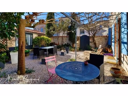 dourgne centre - maison de caractère 360 m²  10 chambres avec gîte  proche commerce et gro