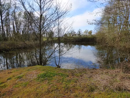 terrain avec deux plans d'eau