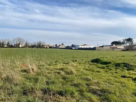 vente terrain à vieillevigne (44116) : à vendre / vieillevigne