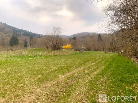 terrain plancher bas 6424 m2 25 minutes de belfort