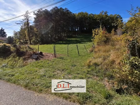 achat terrain 1 033m² malause 82200