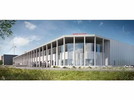 commercieel te huur in geel