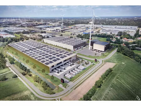 commercieel te huur in geel