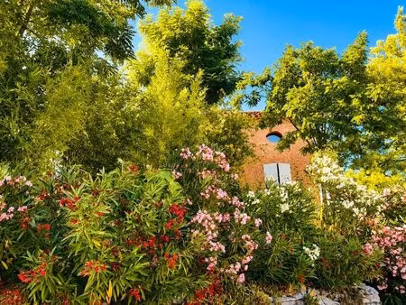 vente maison 9 pièces 150 m² ventabren (13122)
