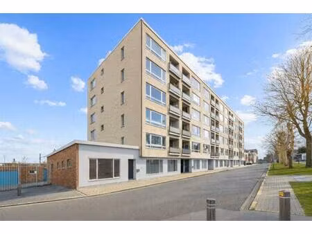 appartement te koop in lokeren