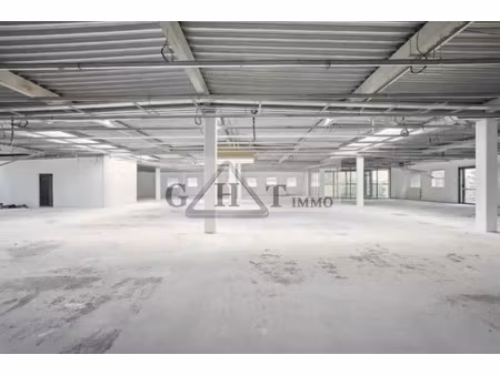 location entrepôt marcoussis 91460 851m²