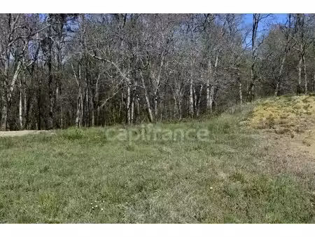 terrain 1 000 m² à cursan (33)
