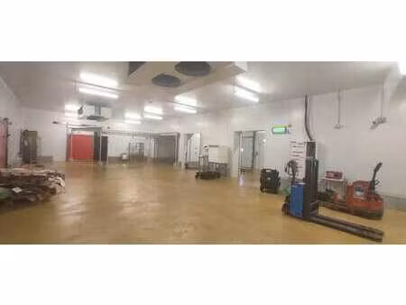 location entrepôt la tour du pin 38110 1500m²