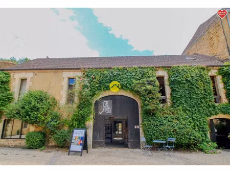 vente maison 7 pièces 240 m² le buisson-de-cadouin (24480)