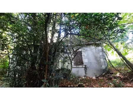 vente maison 2 pièces 60 m² vicq-sur-nahon (36600)