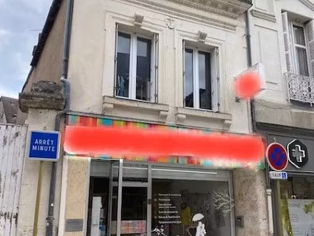 location locaux professionnels 120 m² à selles-sur-cher (41130)  770 €