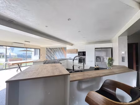 vente maison 7 pièces 166 m² à sierentz (68510)  698 000 €