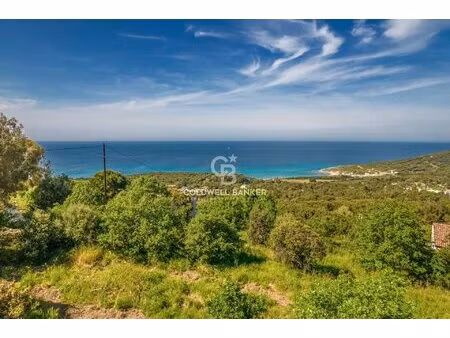 corbara - terrain à bâtir avec permis purgé - vue panoramique