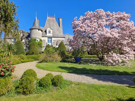 vente demeure d'exception à ingrandes-le-fresne-sur-loire (49123) : à vendre / 370m² ingra