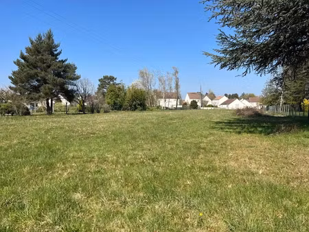 vente terrain 3217 m² à viglain (45600)  55 000 €