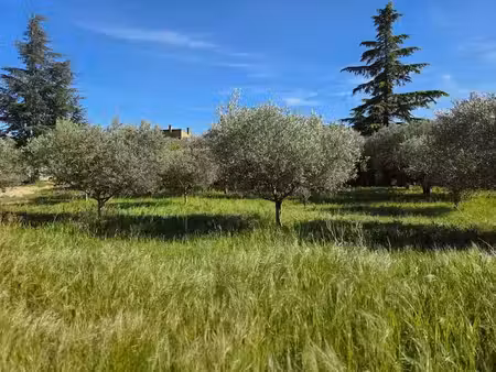 vente terrain 900 m² à pujaut (30131)  269 000 €