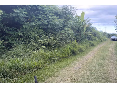 vente terrain 875 m² à saint andre (97440)  99 000 €