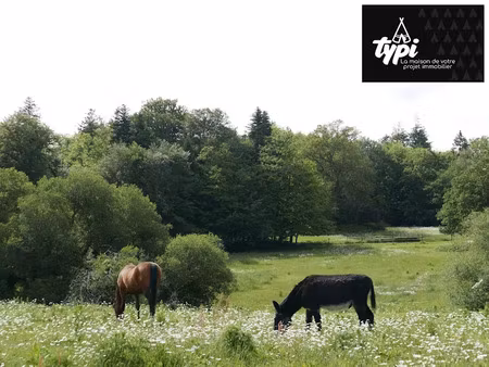 vente terrain 800 m² à hennebont (56700)  169 990 €