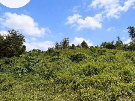 vente terrain à batir 865 m² à les abymes (97139)  110 000 €