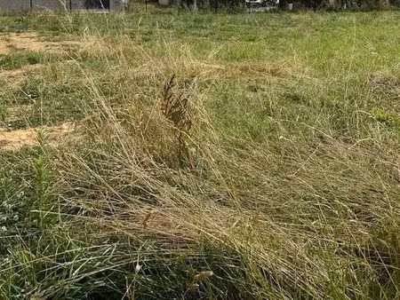 vente terrain à marsais-sainte-radégonde (85570) : à vendre / marsais-sainte-radégonde