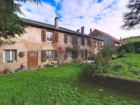 vente locaux professionnels 481 m² à saint-die-des-vosges (88100)  241 000 €