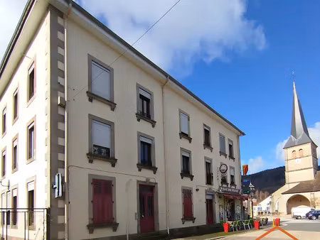 vente immeuble 269 m² à le val-d'ajol (88340)  248 000 €