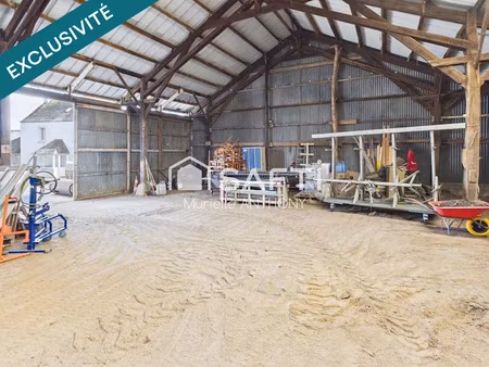 vente immeuble 330 m² à pleyber-christ (29410)  89 900 €