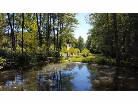 propriété hébergements et chasse argent sur sauldre 835 m2 sur 100 hectares