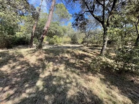 terrain constructible