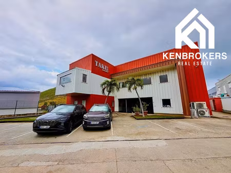 location locaux professionnels 1 pièce 74 m² à saint-martin (97150)  2 691 €