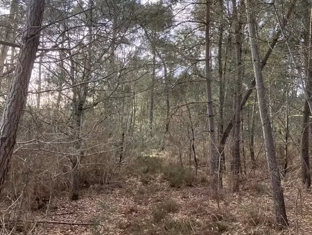 terrain loisirs à yvré-le-polin (72330)