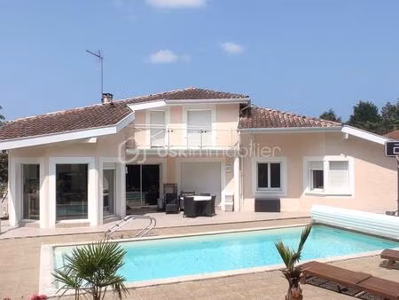 belle maison familiale avec piscine  dépendance et grand terrain– saint-vincent-de-paul