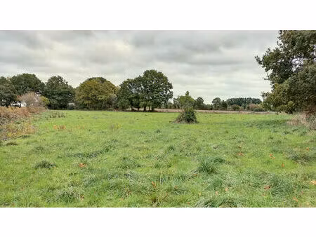 achat terrain 7 100m² jullouville 50610