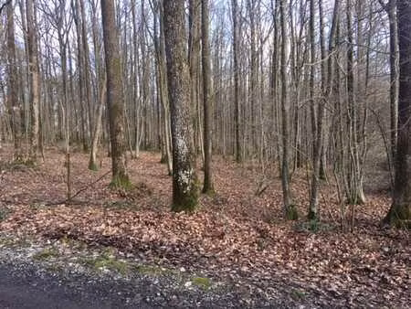 terrain à bâtir