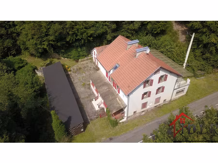 vosges du nord atypique immeuble 292 m2 12 pièces