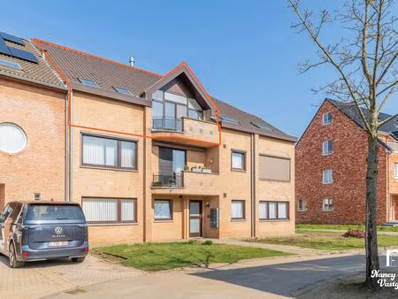 appartement à vendre à paal € 249.000 (lmkzc) - nancy aerts vastgoed | zimmo